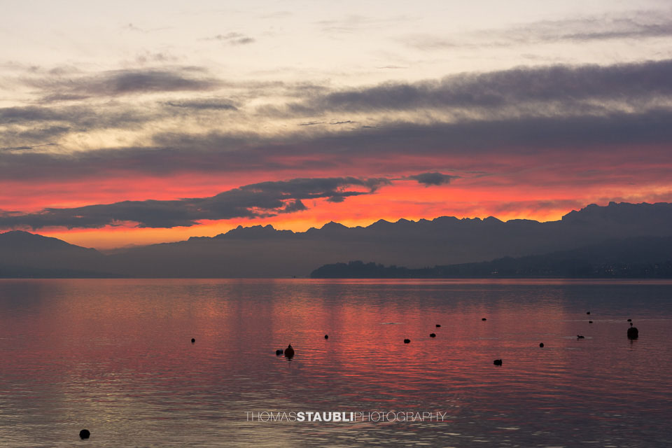 Morgenrot über den Glarner Alpen