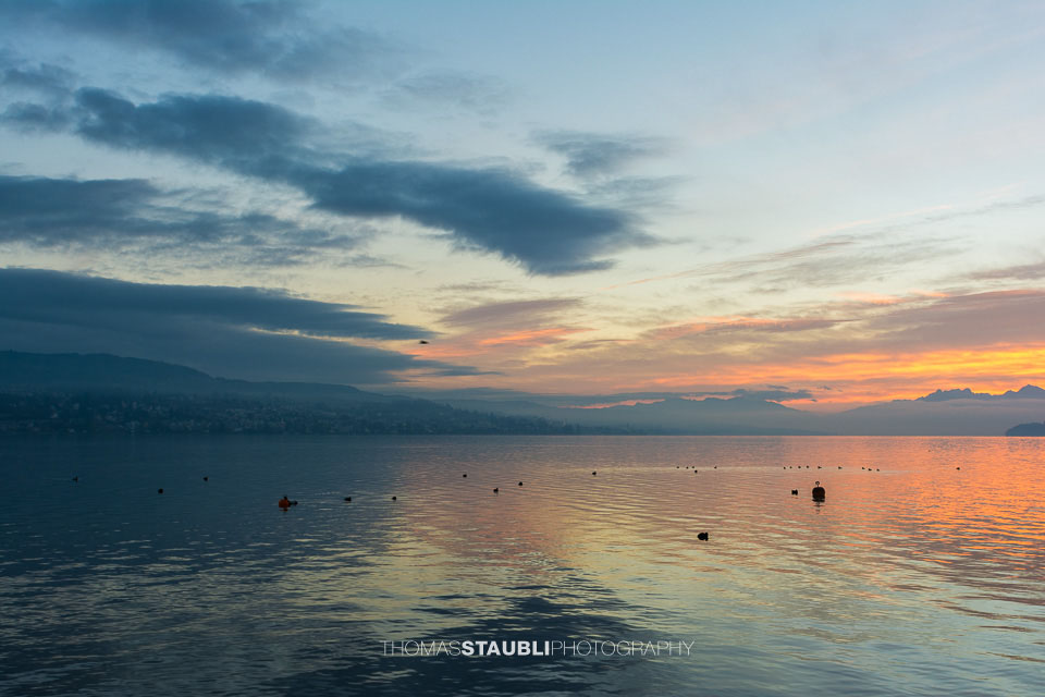 Morgendämmerung über dem Zürichsee
