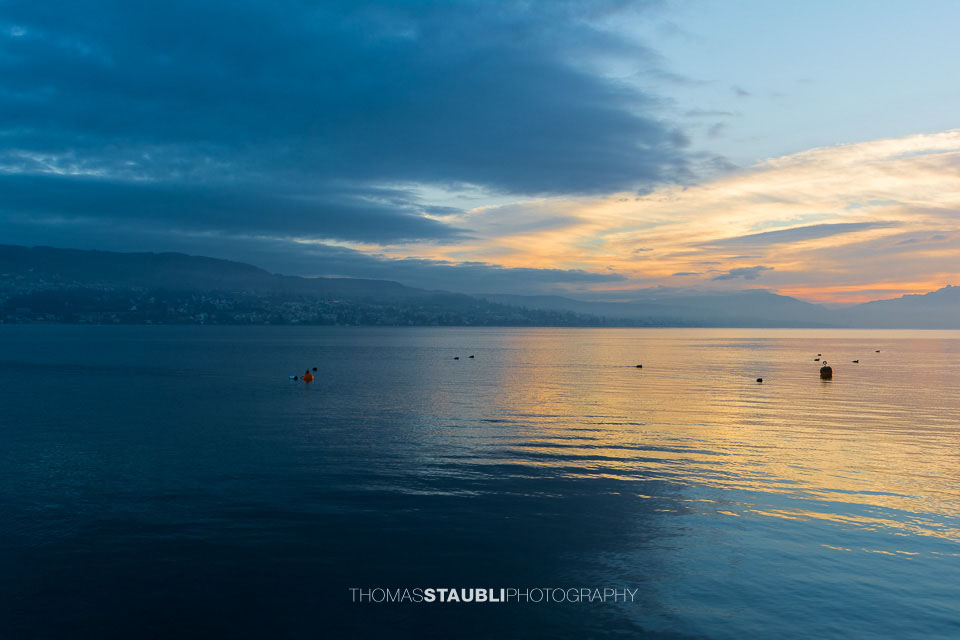 Morgendämmerung über dem Zürichsee