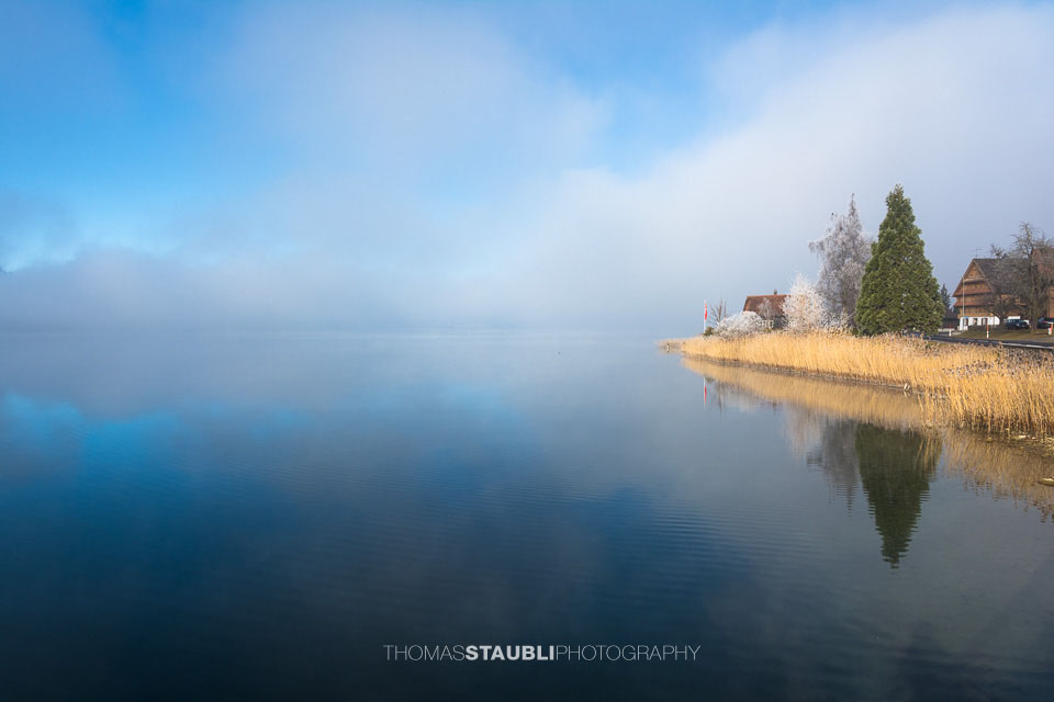 Morgennebel über dem Ägerisee