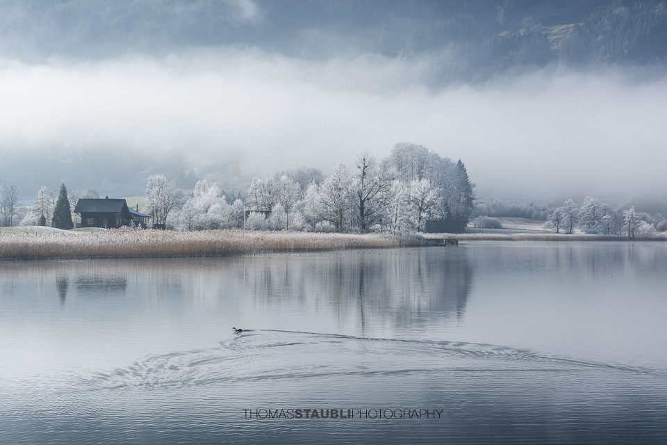 Raureif am Ägerisee