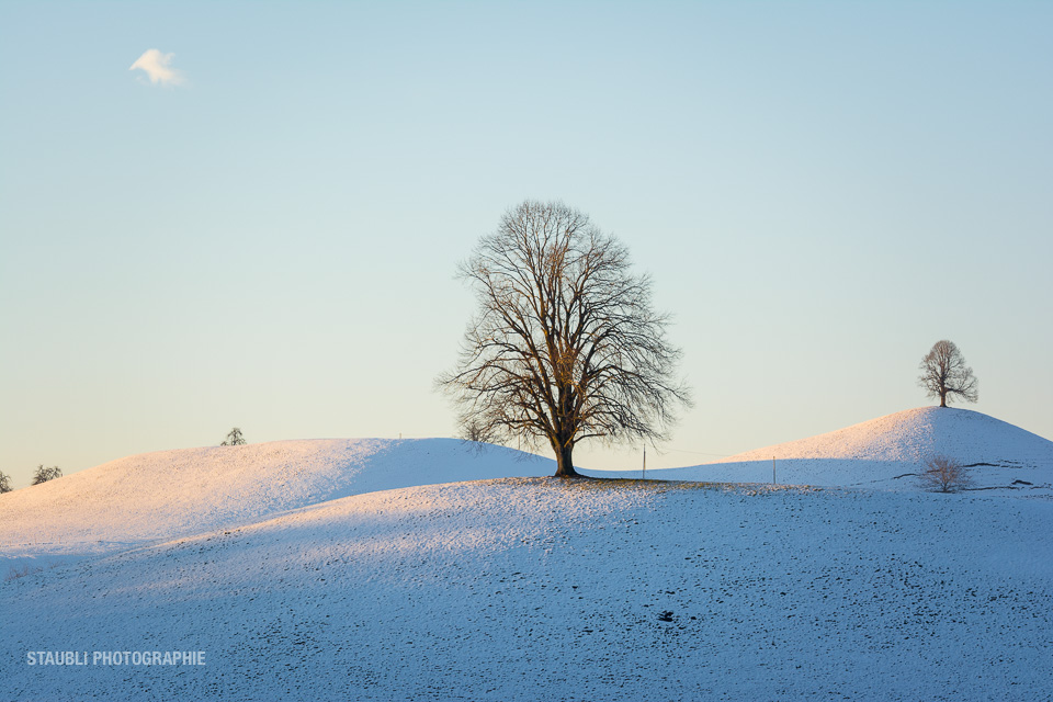 Hügellandschaft bei Menzingen