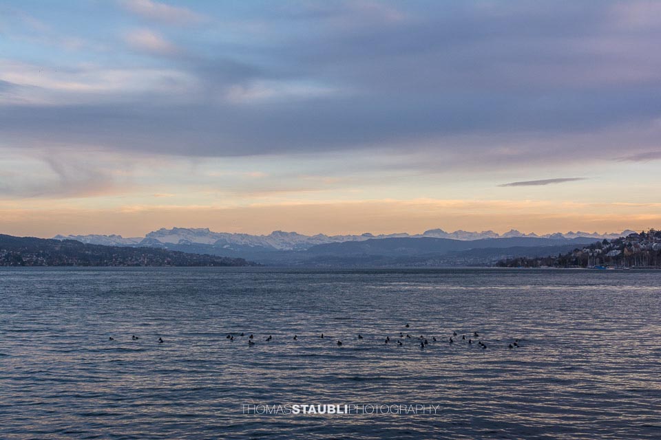 Schiffsstation Zürich Wollishofen mit Blick zu den Glarner Alpen