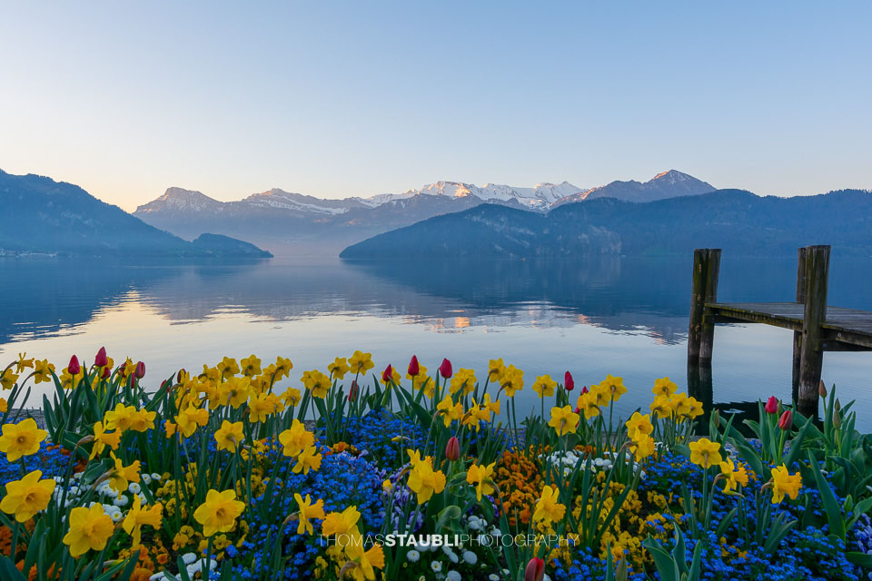 Uferpromenade von Weggis
