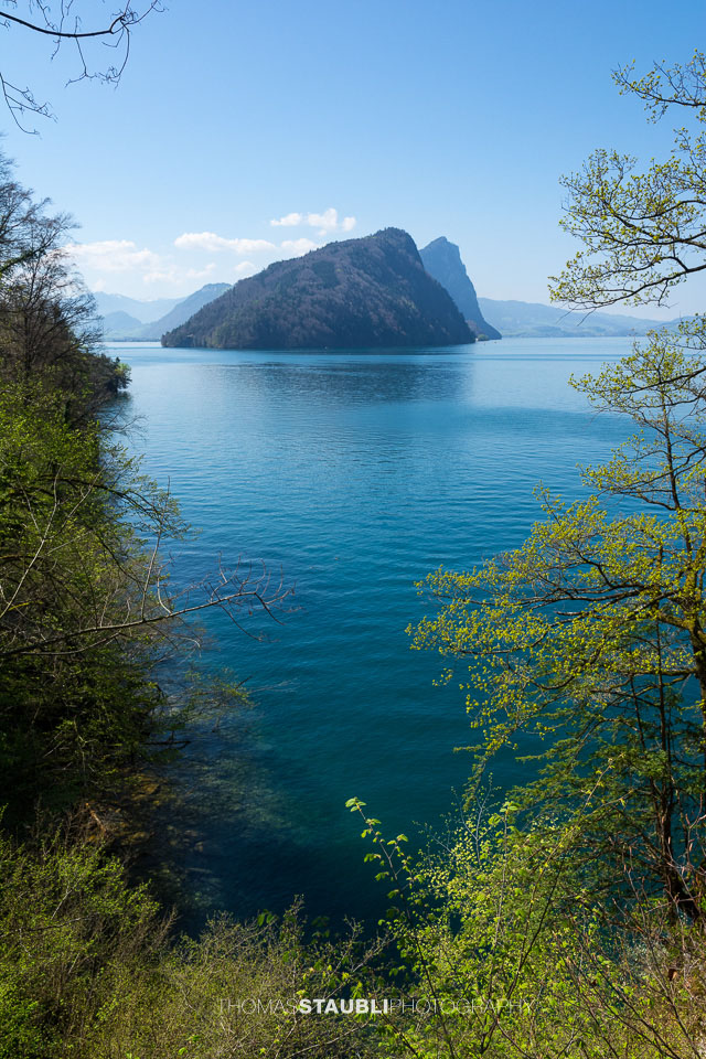 Blick zum Bürgenstock