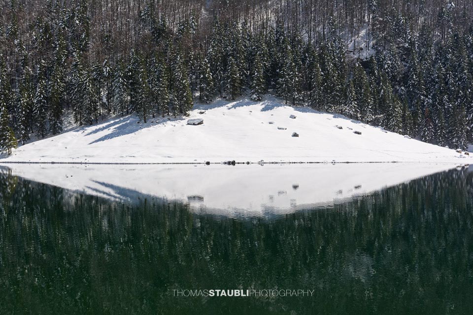 Wasserspiegelung am Seealpsee