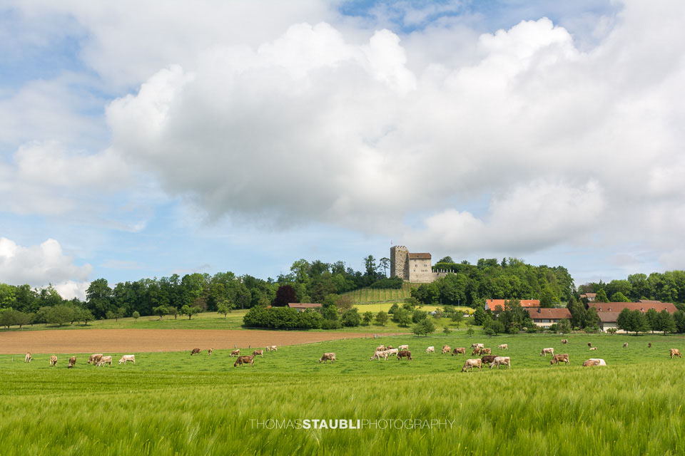 Landwirtschaft bei Habsburg