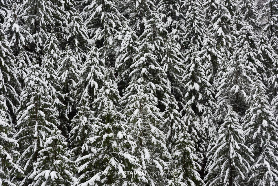 Winterimpressionen vom Alpstein