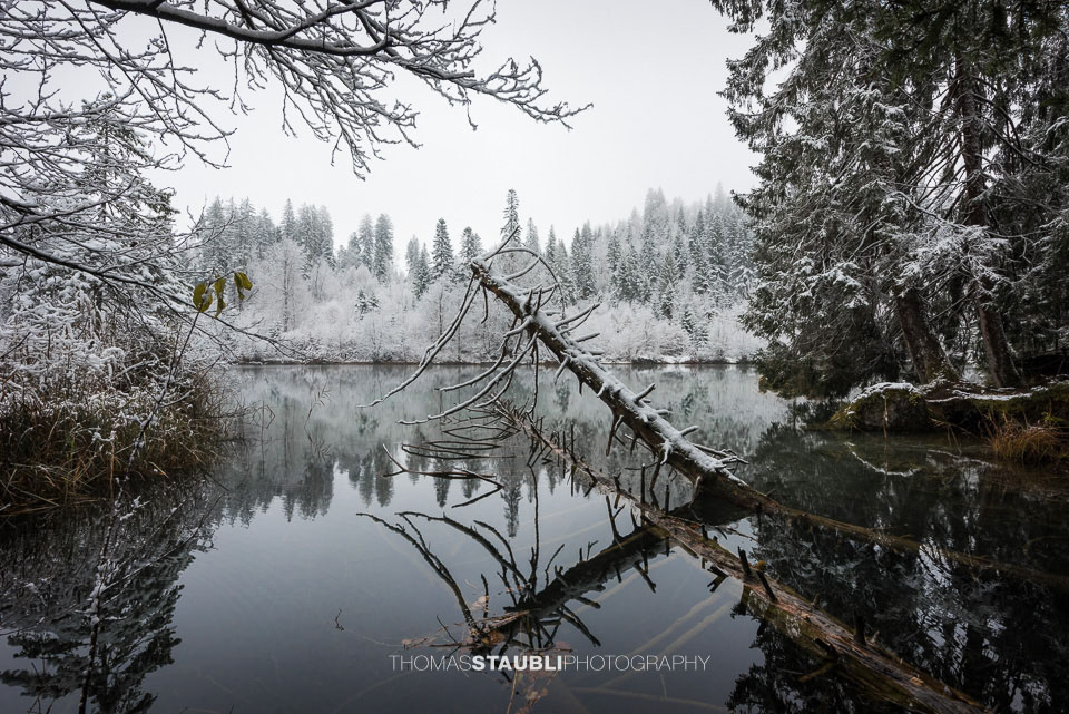 Winter am Crestasee