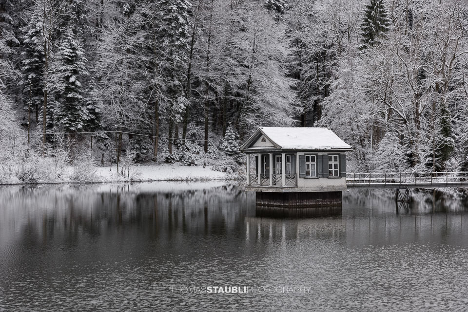 Winter am Wenigerweier