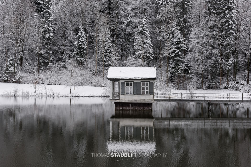 Winter am Wenigerweier