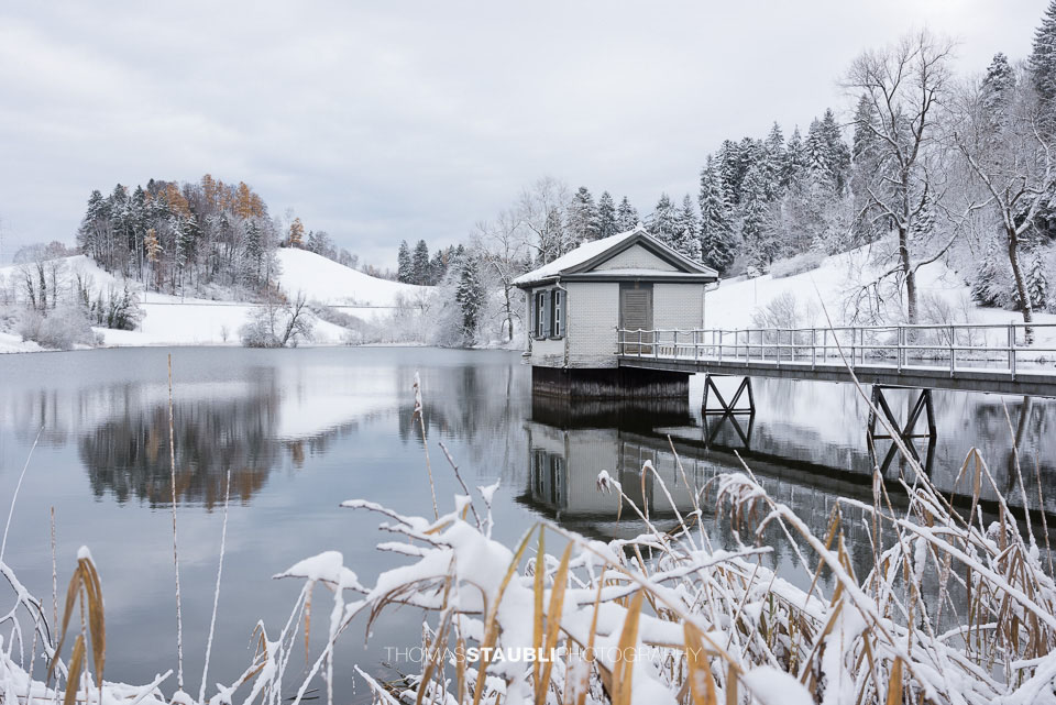 Winter am Wenigerweier
