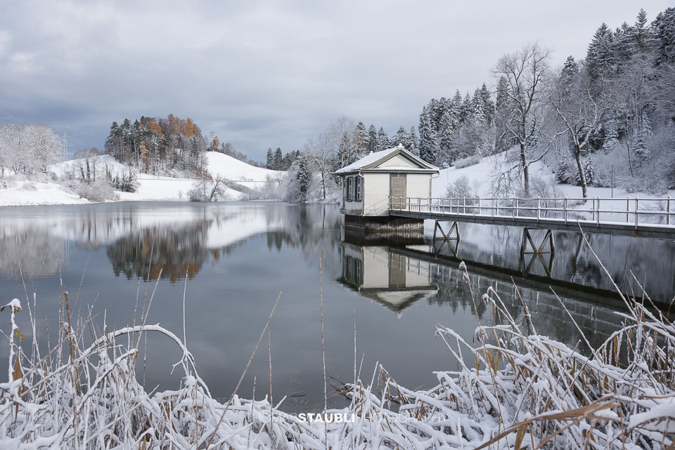 Winter am Wenigerweier
