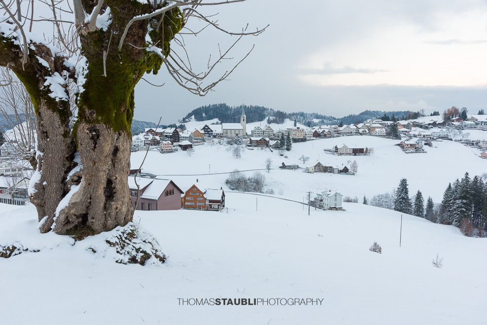 Schwellbrunn im Winterkleid
