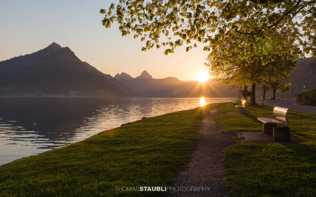 Sonnenaufgang über Beckenried am Vierwaldstättersee