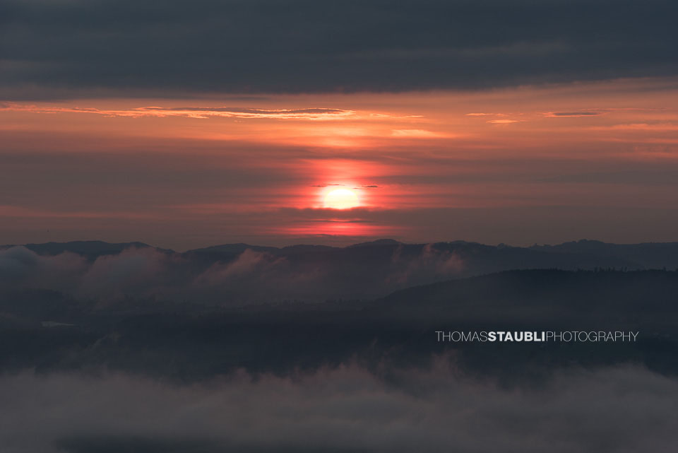 Blick vom Aussichtsturm Albis-Hochwacht