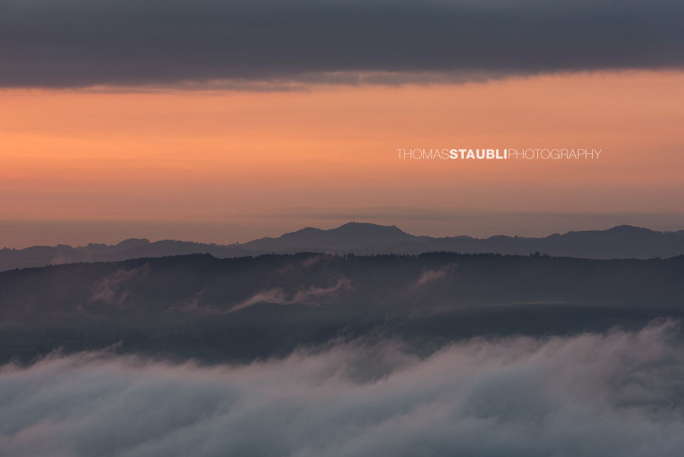 Blick vom Aussichtsturm Albis-Hochwacht