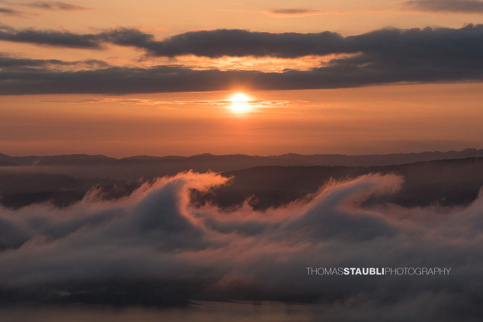 Blick vom Aussichtsturm Albis-Hochwacht