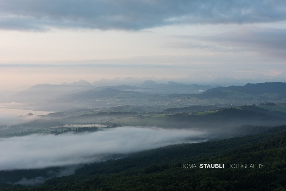 Blick vom Aussichtsturm Albis-Hochwacht