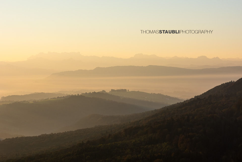 Blick vom Aussichtsturm Albis-Hochwacht