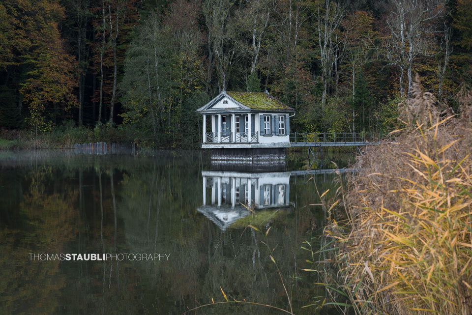 Herbst am Wenigerweier