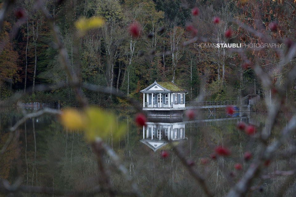 Herbst am Wenigerweier