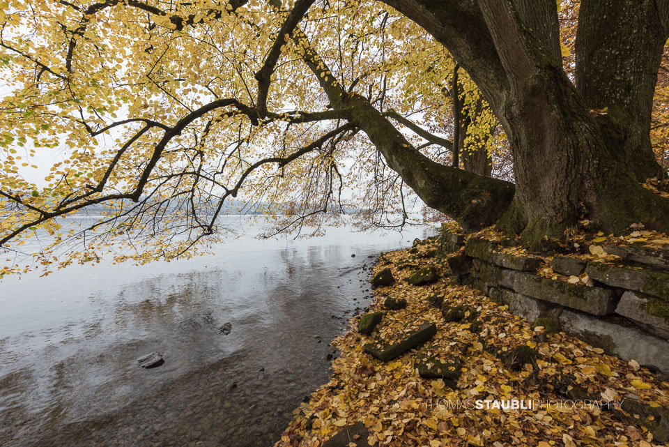 Herbststimmung auf der Halbinsel Au