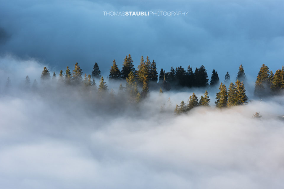 Nebelmeer über der Holzegg