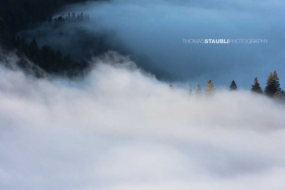 Nebelmeer über der Holzegg
