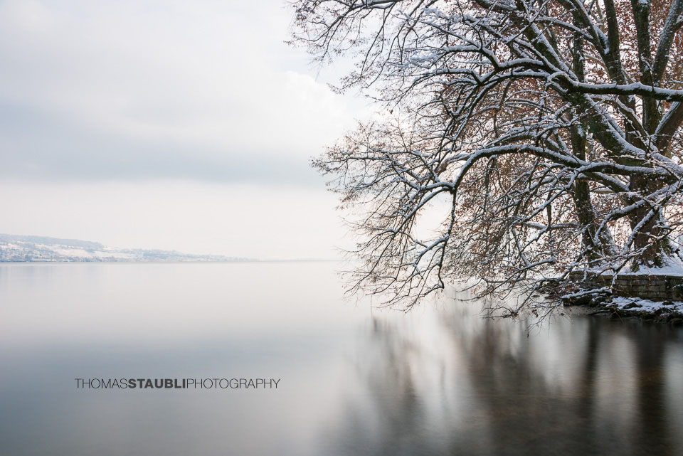 Winter am Zürichsee
