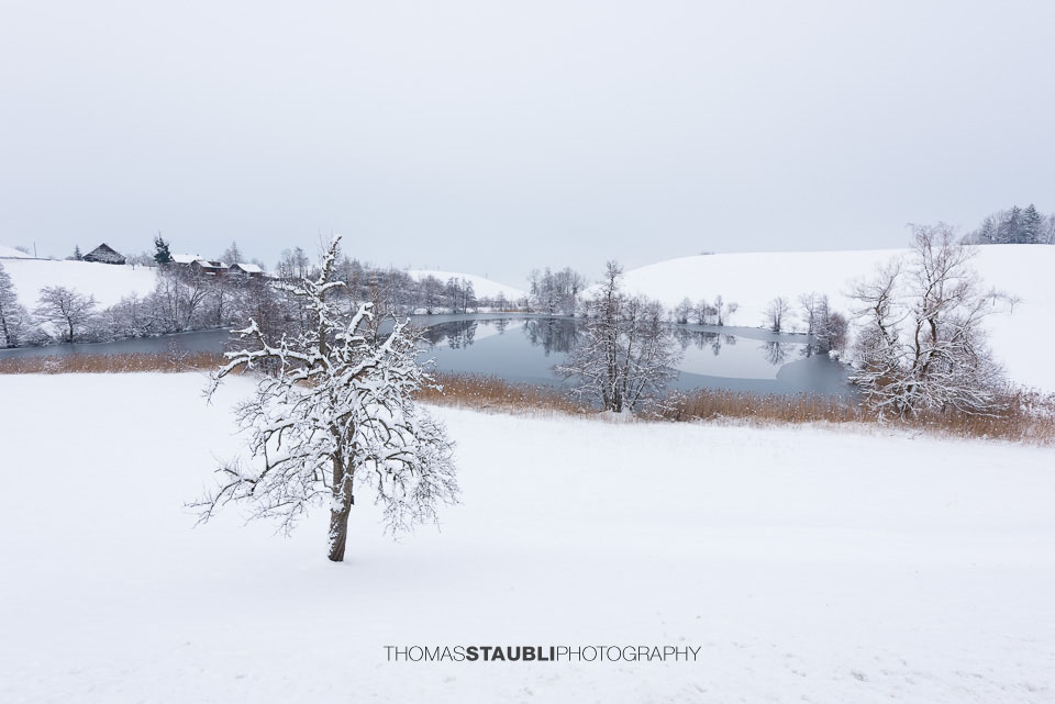 Winterstille am Wilersee