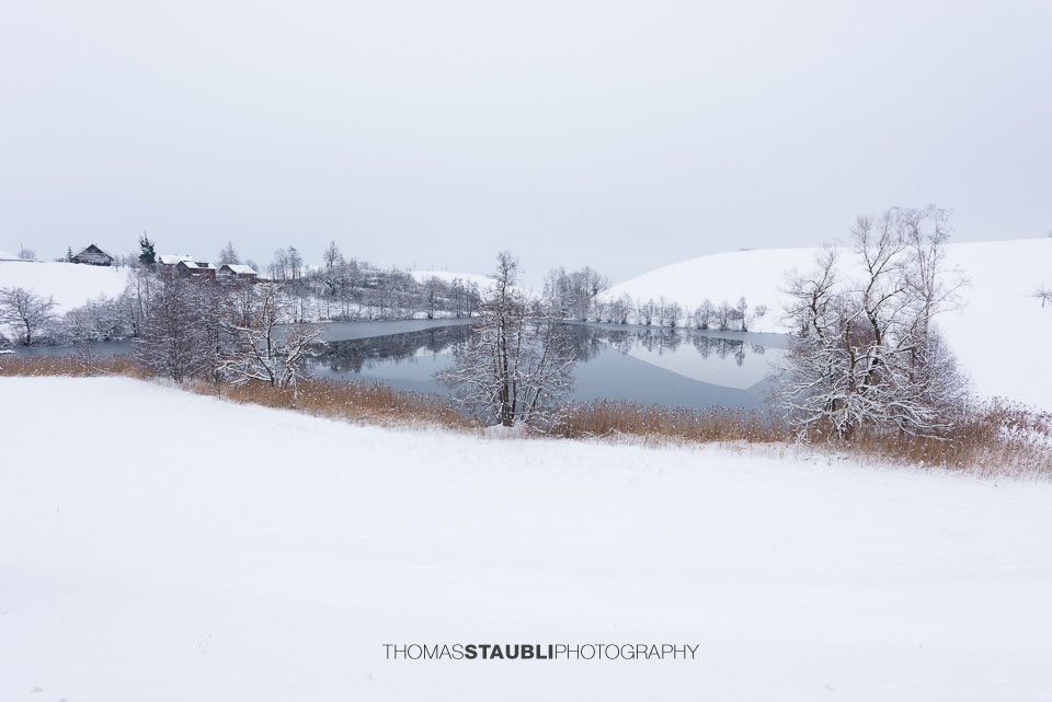 Winterstille am Wilersee
