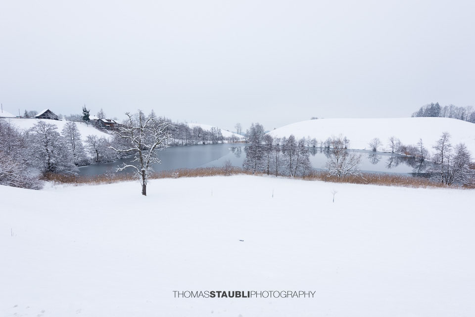 Winterstille am Wilersee