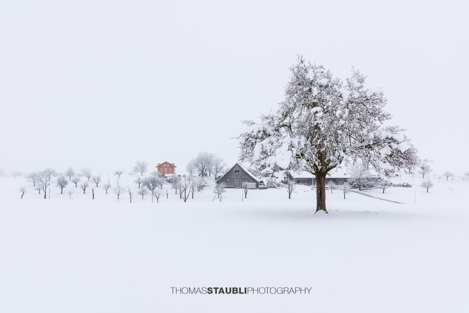 Bauernhof im Winterkleid