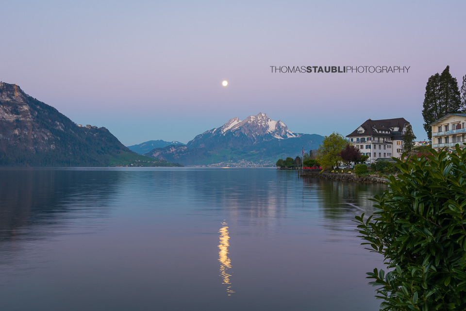 Blick von Weggis zum Pilatus