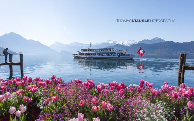 Weggis am Vierwaldstättersee