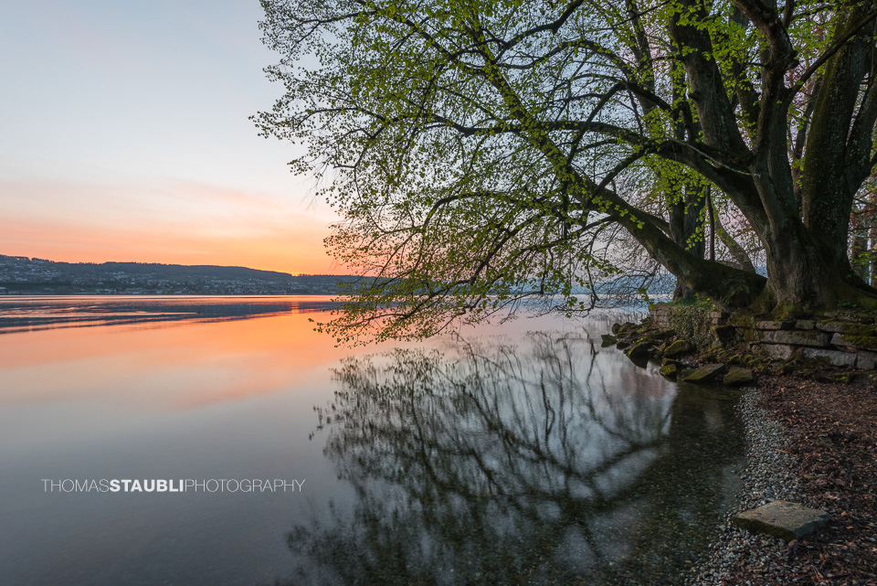 Sonnenaufgang am Zürichsee