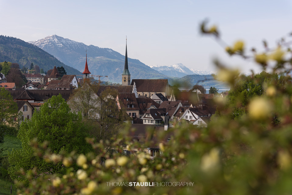 Blick zur Zuger Altstadt