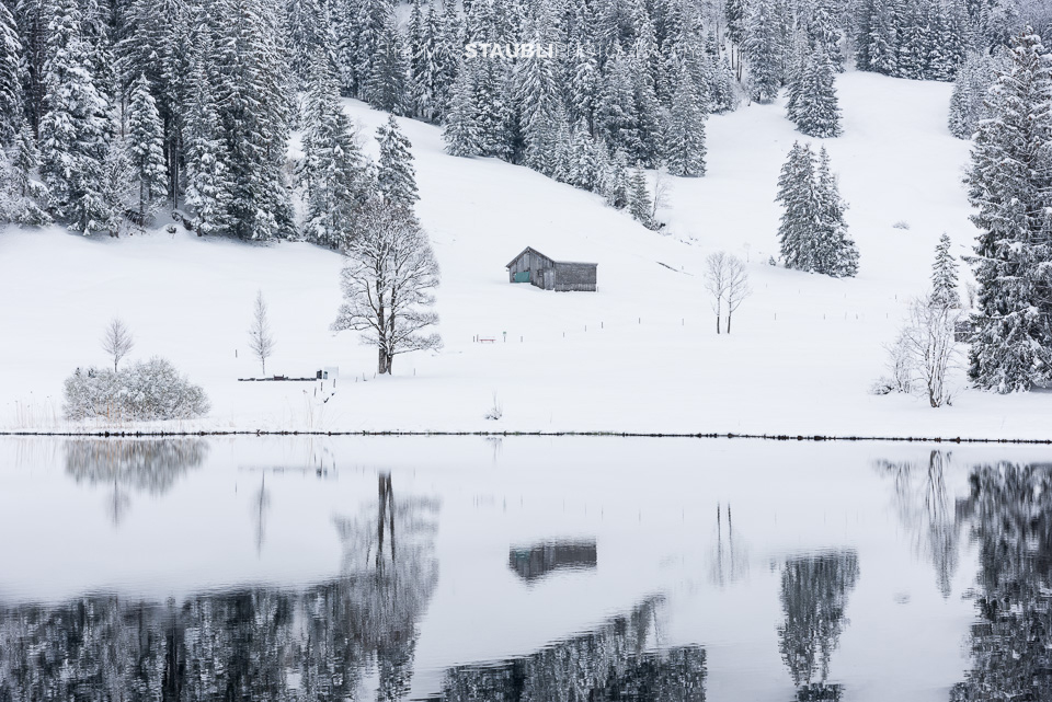 Winter am Schwendisee