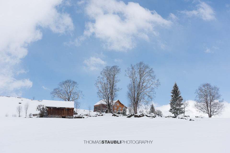 Winter am Schwendisee