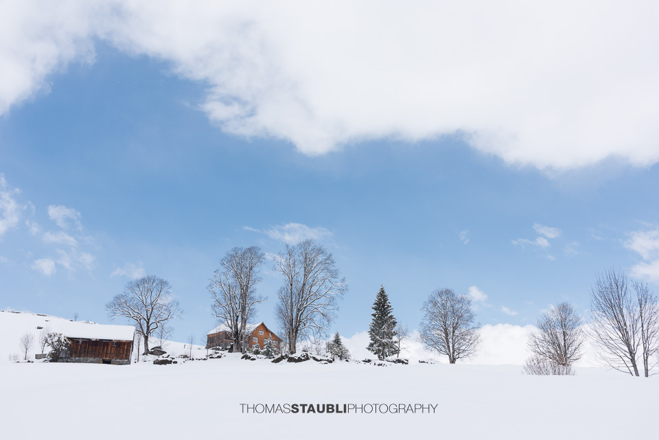 Winter am Schwendisee
