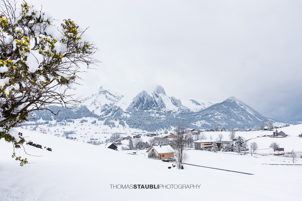 Winter am Schwendisee