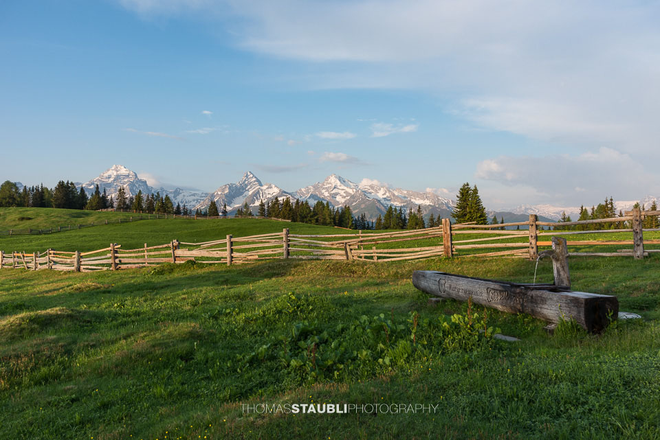 Auf der Wiesner Alp
