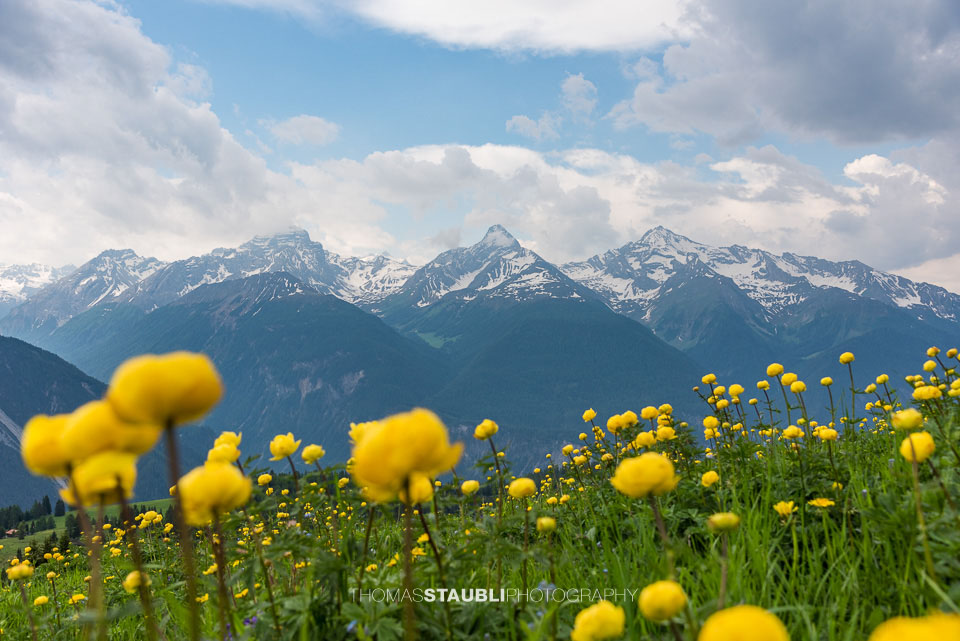 Auf der Schmittner Alp