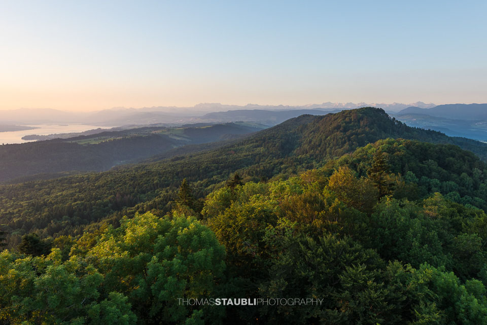 Blick vom Aussichtsturm Albis-Hochwacht