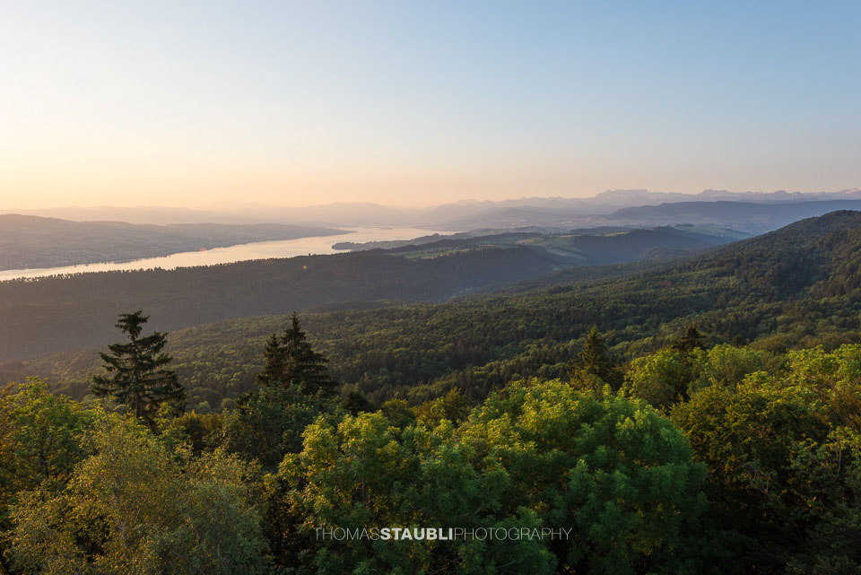 Blick vom Aussichtsturm Albis-Hochwacht