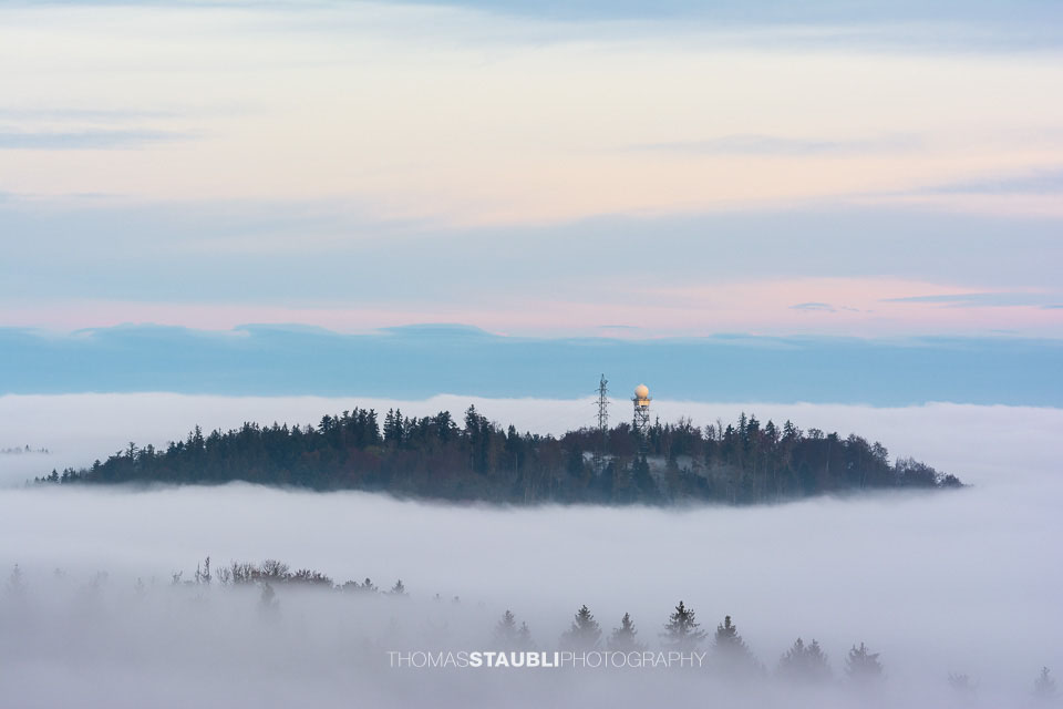 der Albis knapp über dem Nebelmeer