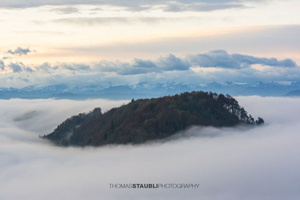 Blick auf die Alpen und das Nebelmeer