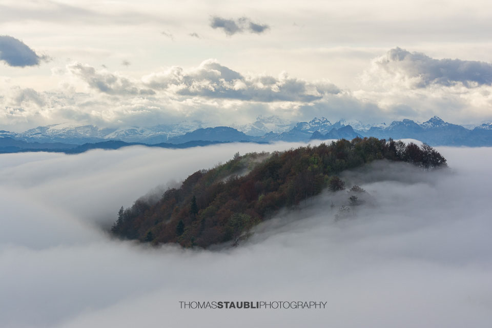 Blick auf die Alpen und das Nebelmeer