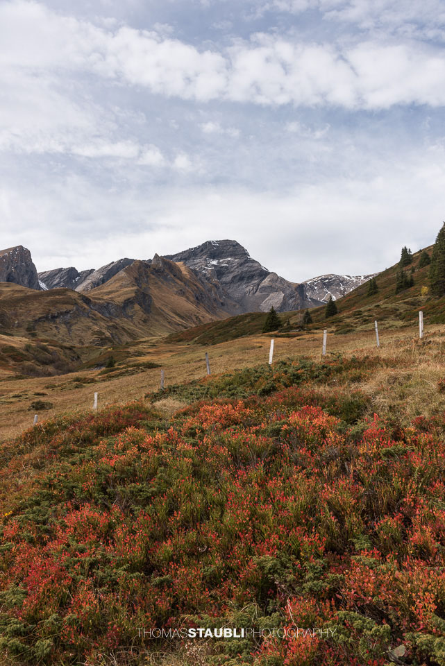 Herbst auf der Grossen Scheidegg